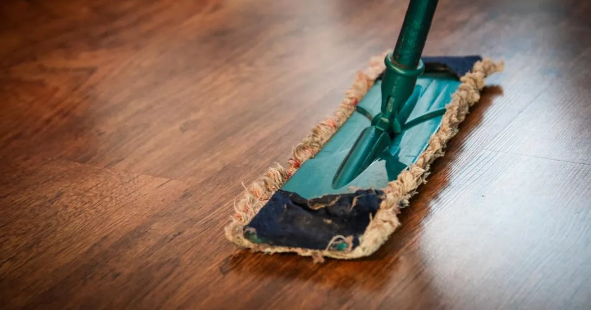 Dyson V11 vs Shark Vertex — Which Cordless Vac Dominates in 2025?