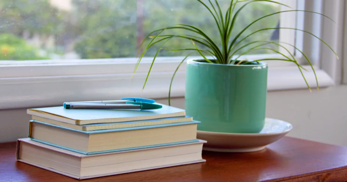 Full-Spectrum vs. Red Light Therapy Lamps: Which One Should You Buy in 2025?