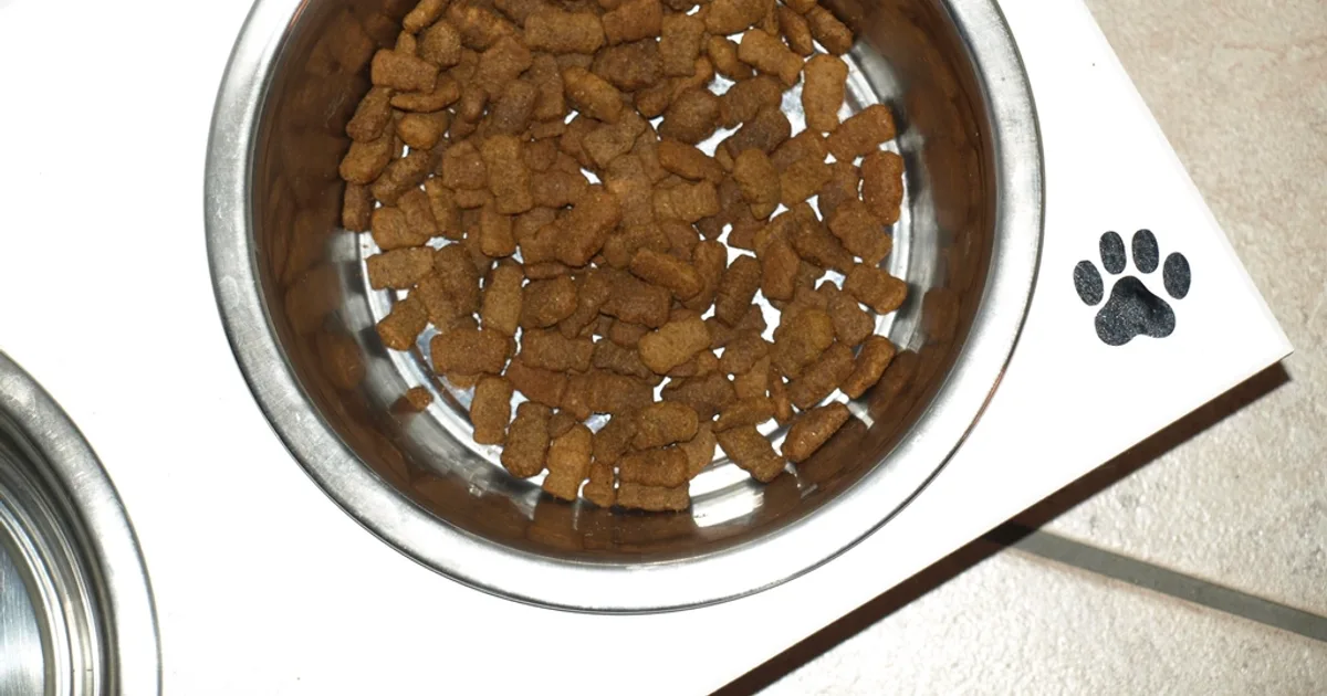 How to Read a Pet Food Label