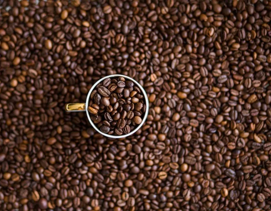 Coffee Subscriptions